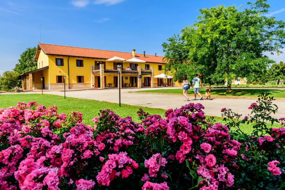 Tenuta Regina Agriturismo e Glamping