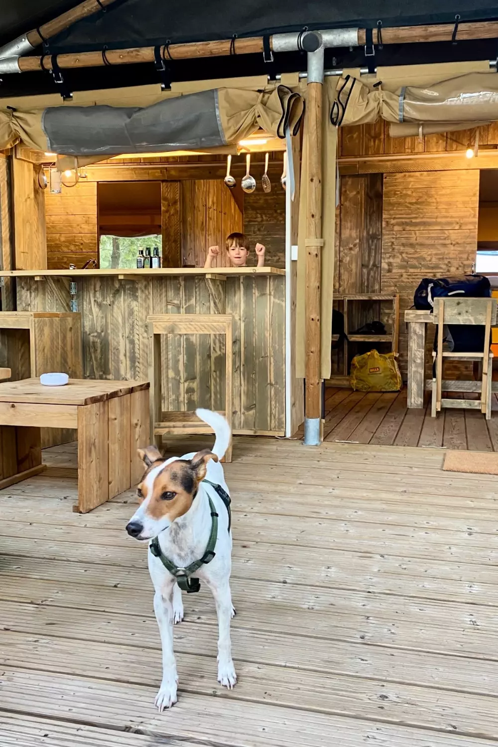 Tenuta Regina Agriturismo e Glamping