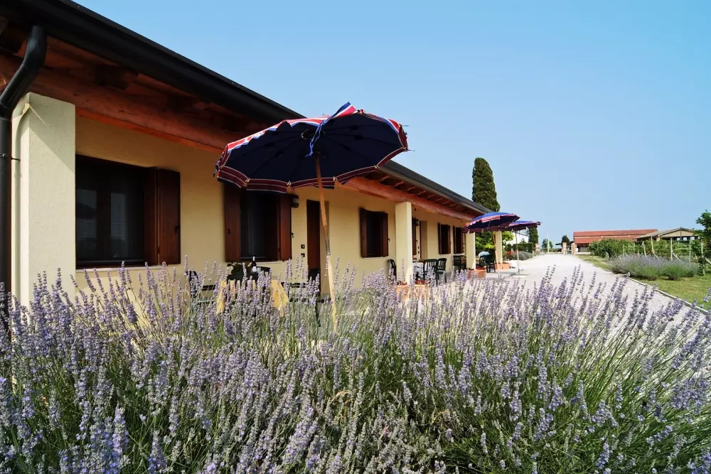 Tenuta Regina Agriturismo e Glamping