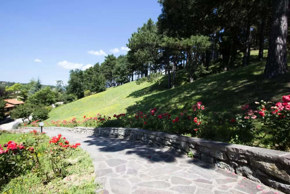 Woonplaats I Cancelli