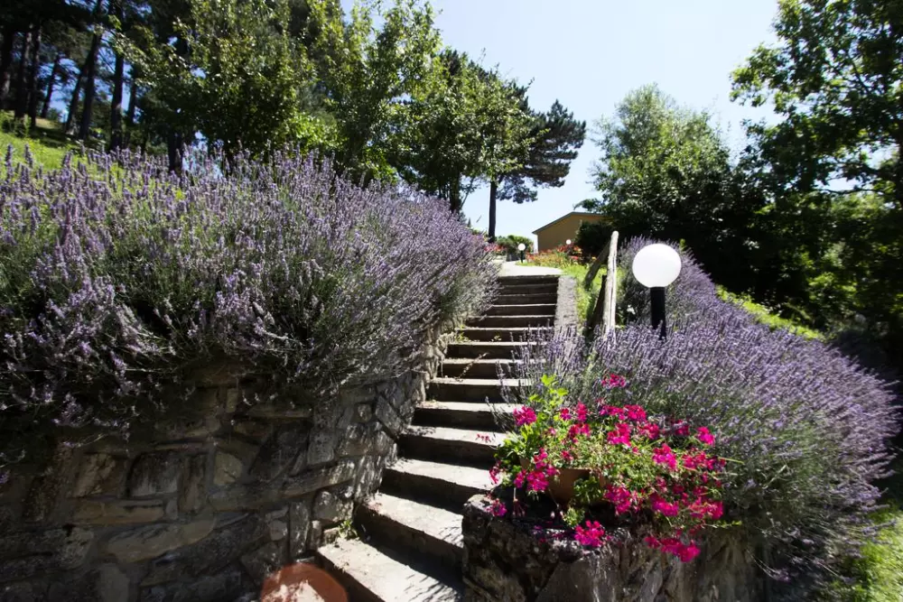 Woonplaats I Cancelli