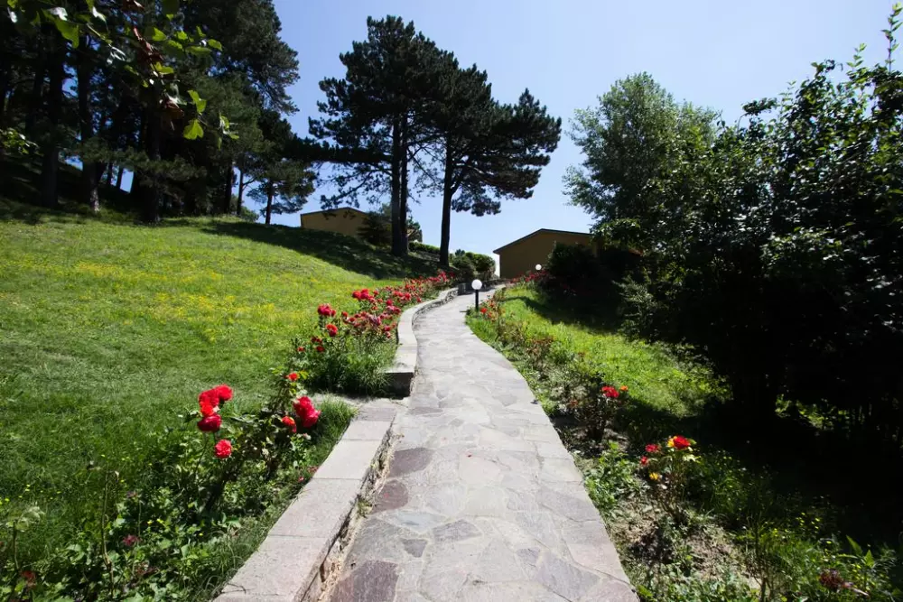 Woonplaats I Cancelli