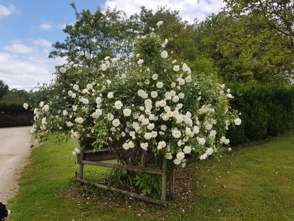 DOMAINE DE PECANY (La Noix de Pecan'y) 3 Gwiazdy★★★