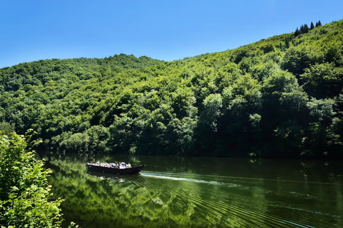 Campsite Les Sapins de Correze /
