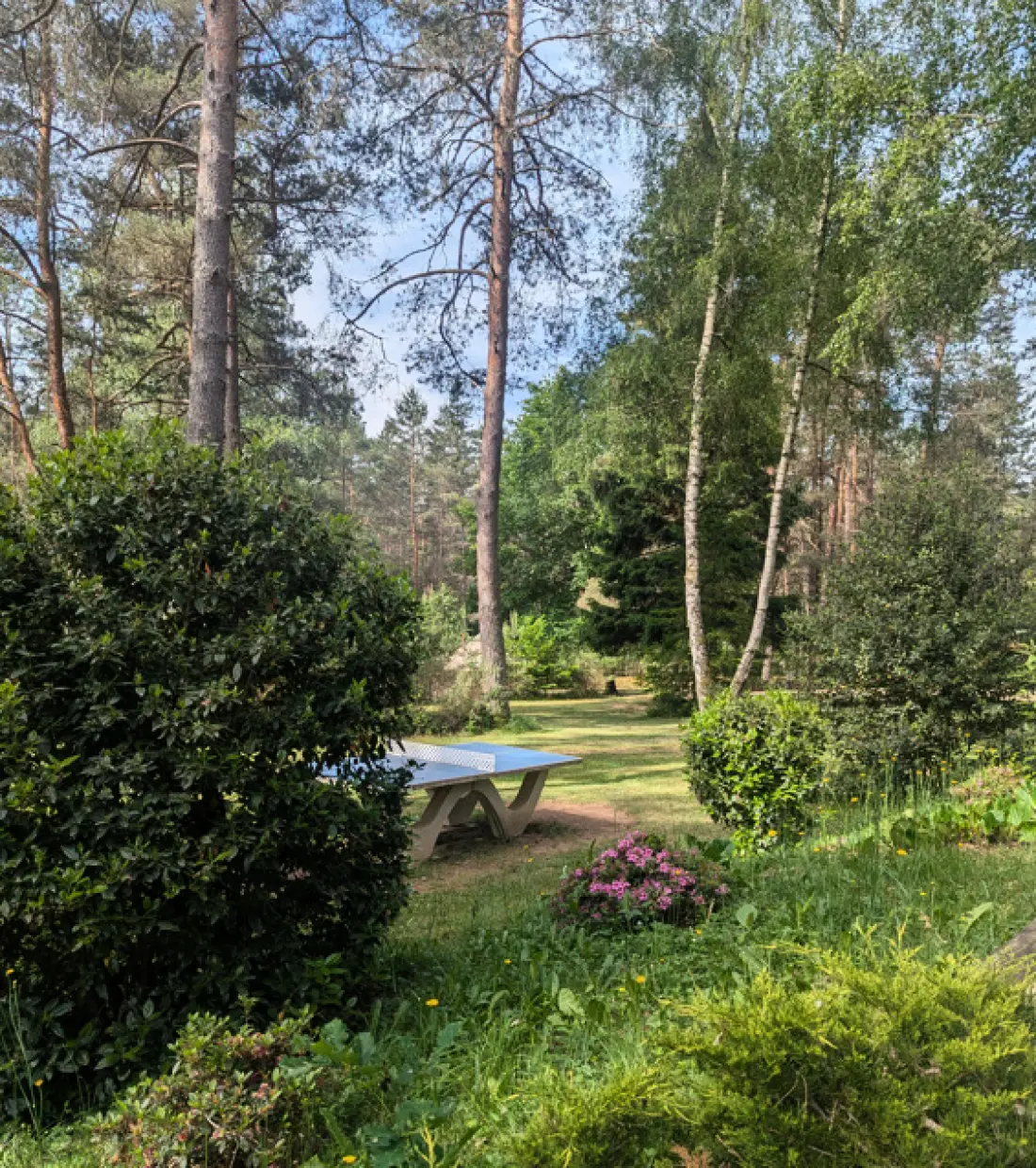 Campsite Les Sapins de Correze /