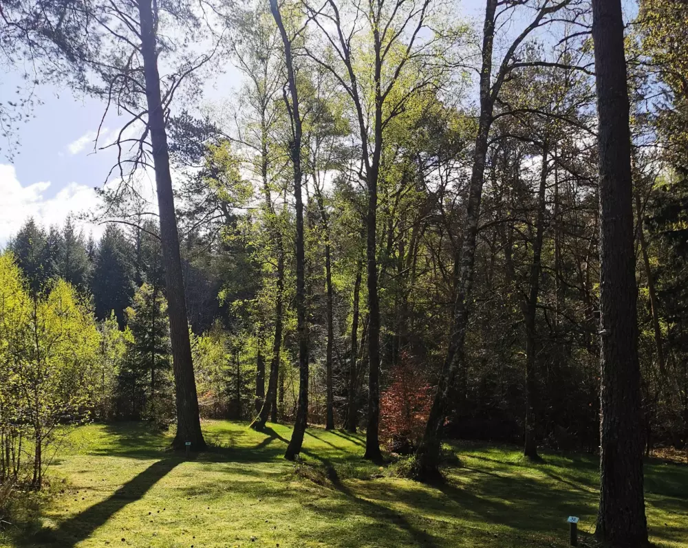 Campingplatz Les Sapins de Correze 3 Sterne★★★