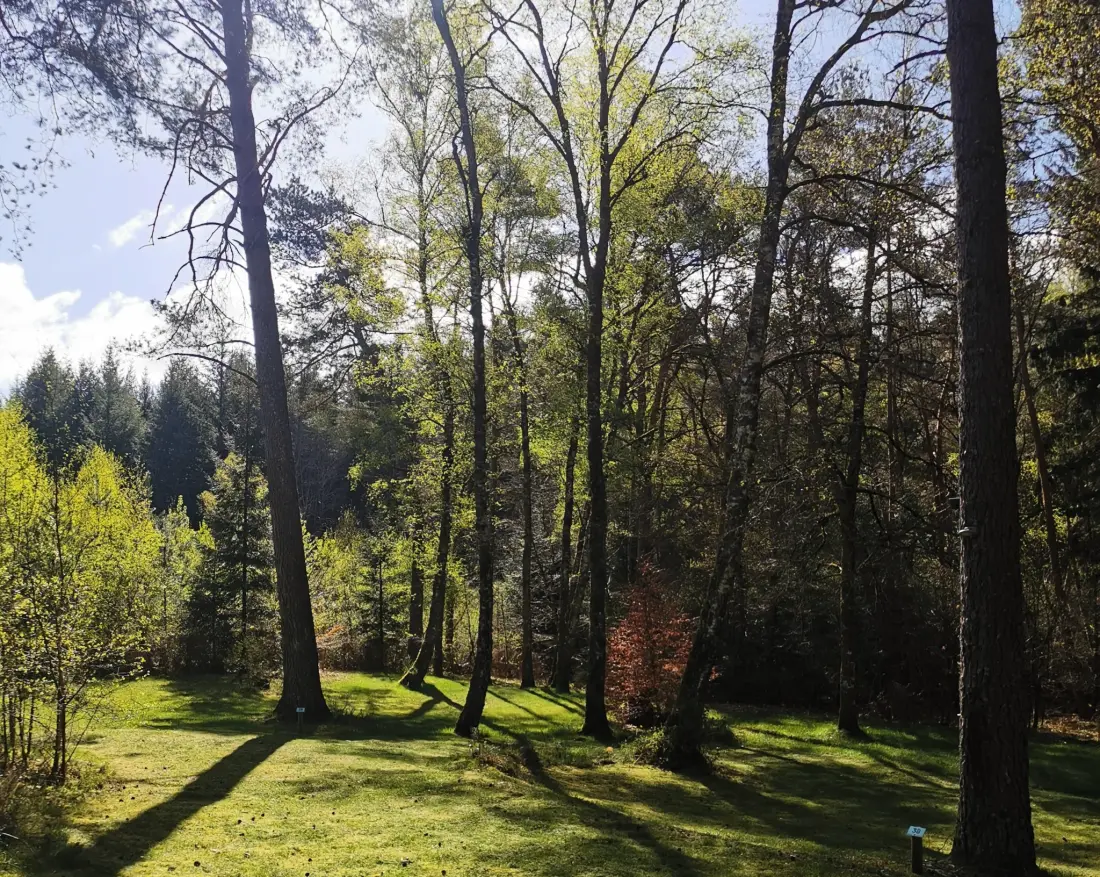 Campsite Les Sapins de Correze /