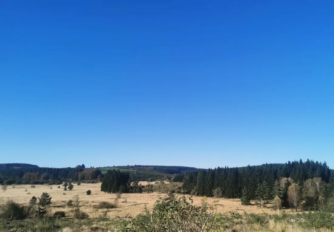 Campsite Les Sapins de Correze /
