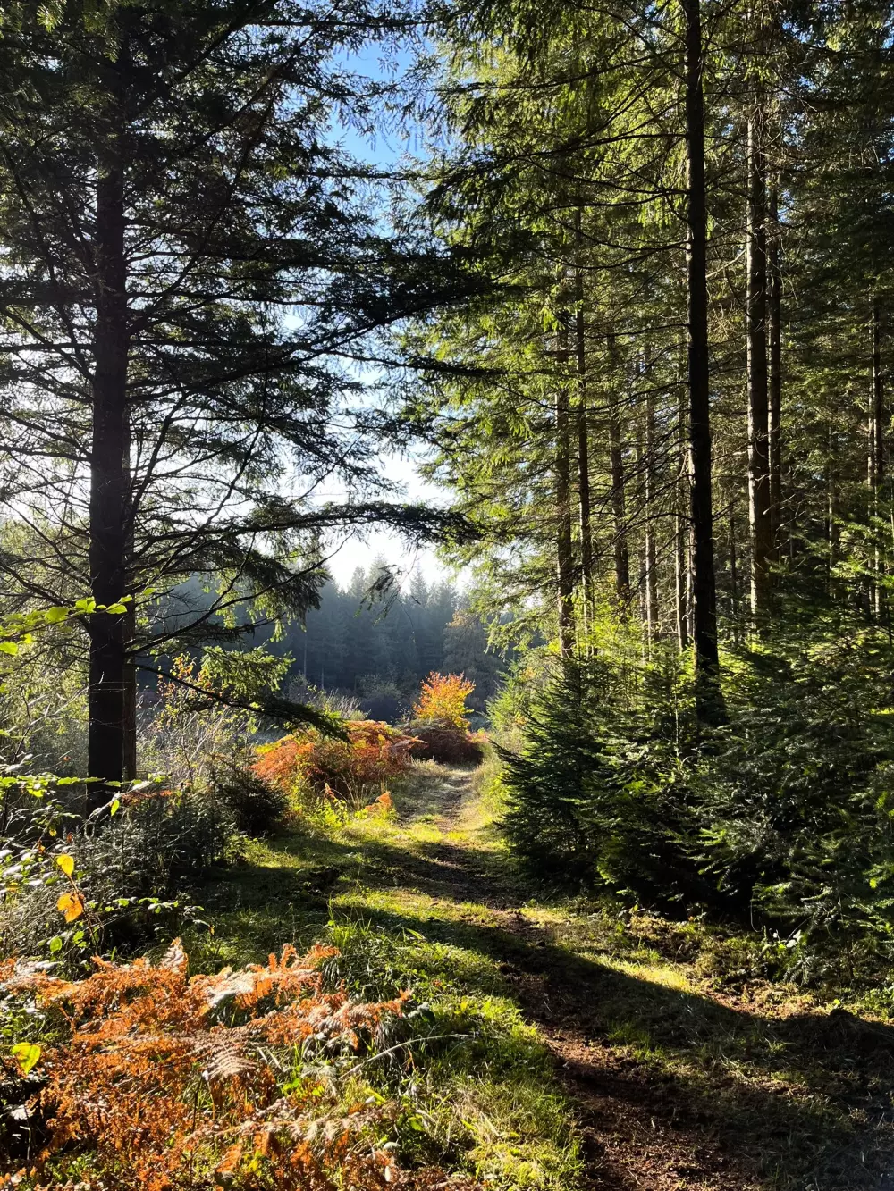 Campingplatz Les Sapins de Correze 3 Sterne★★★