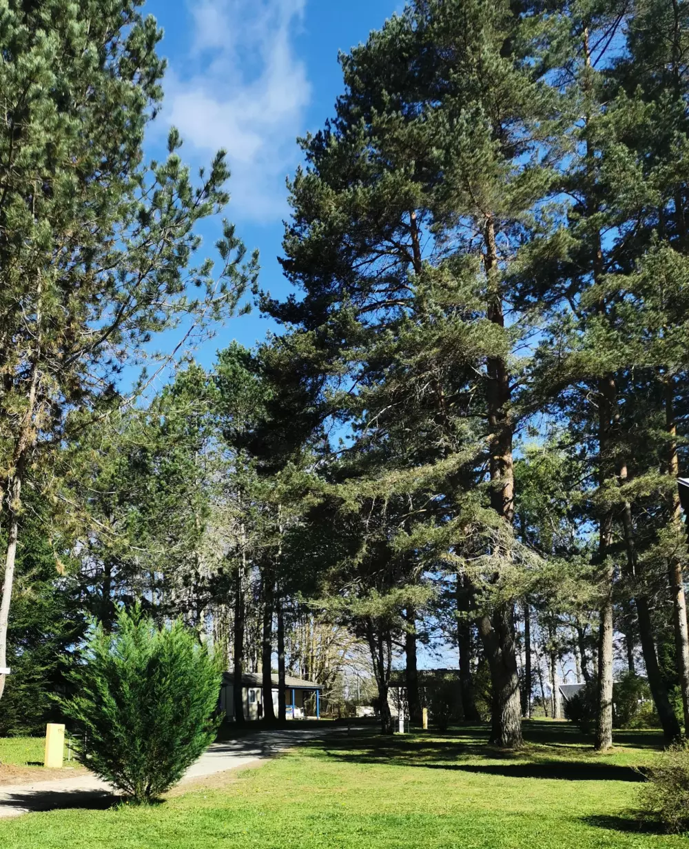 Campingplatz Les Sapins de Correze 3 Sterne★★★