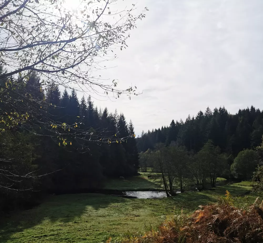 Campingplatz Les Sapins de Correze 3 Sterne★★★