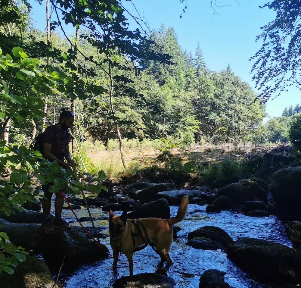 Campingplatz Les Sapins de Correze 3 Sterne★★★