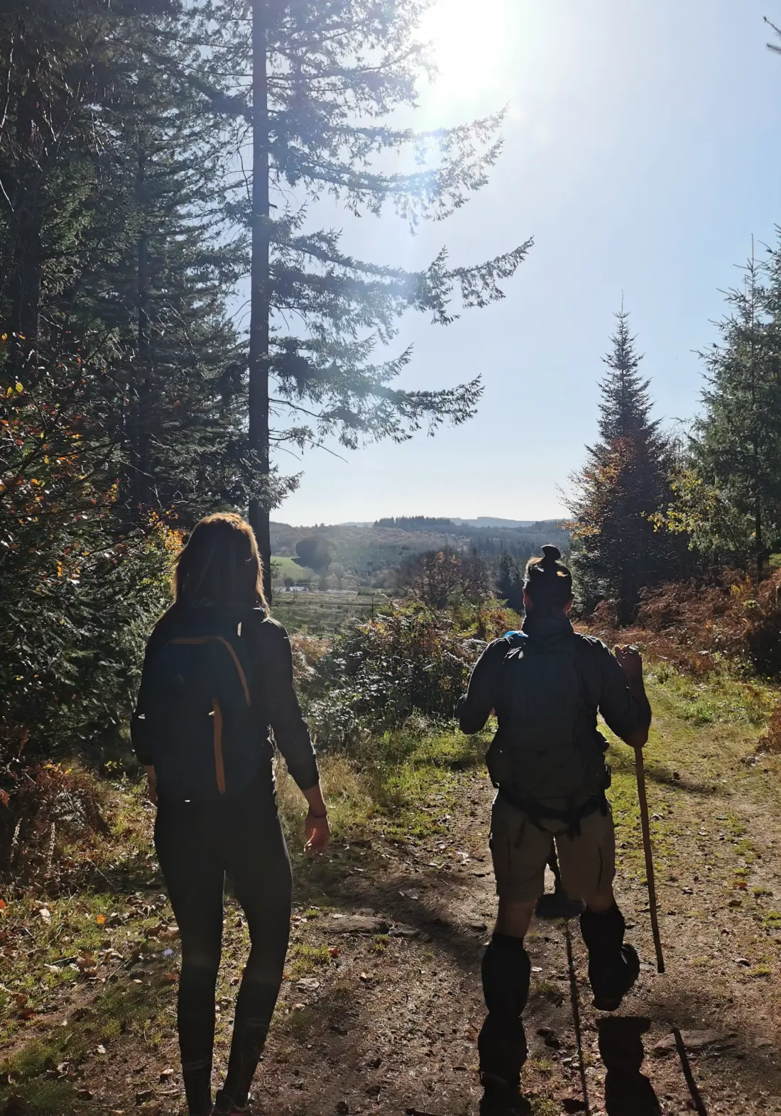 Campsite Les Sapins de Correze /