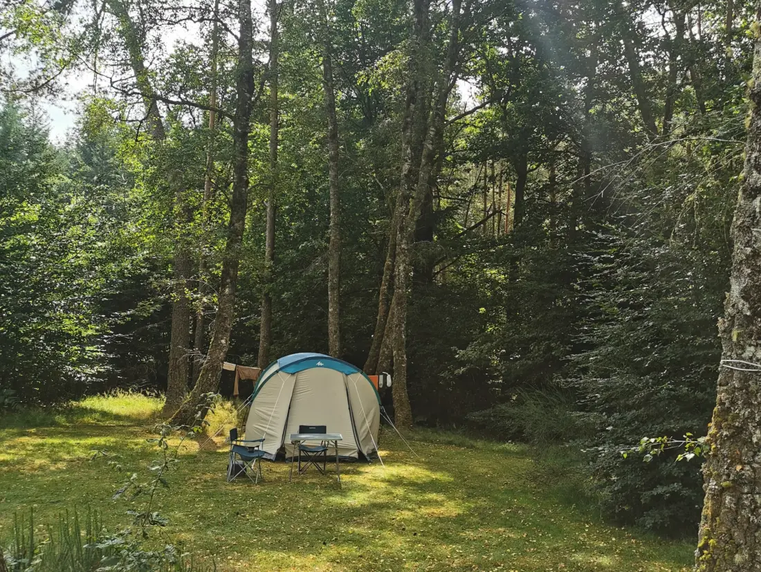 Campsite Les Sapins de Correze /