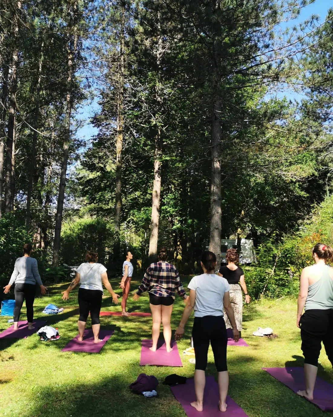 Campsite Les Sapins de Correze /