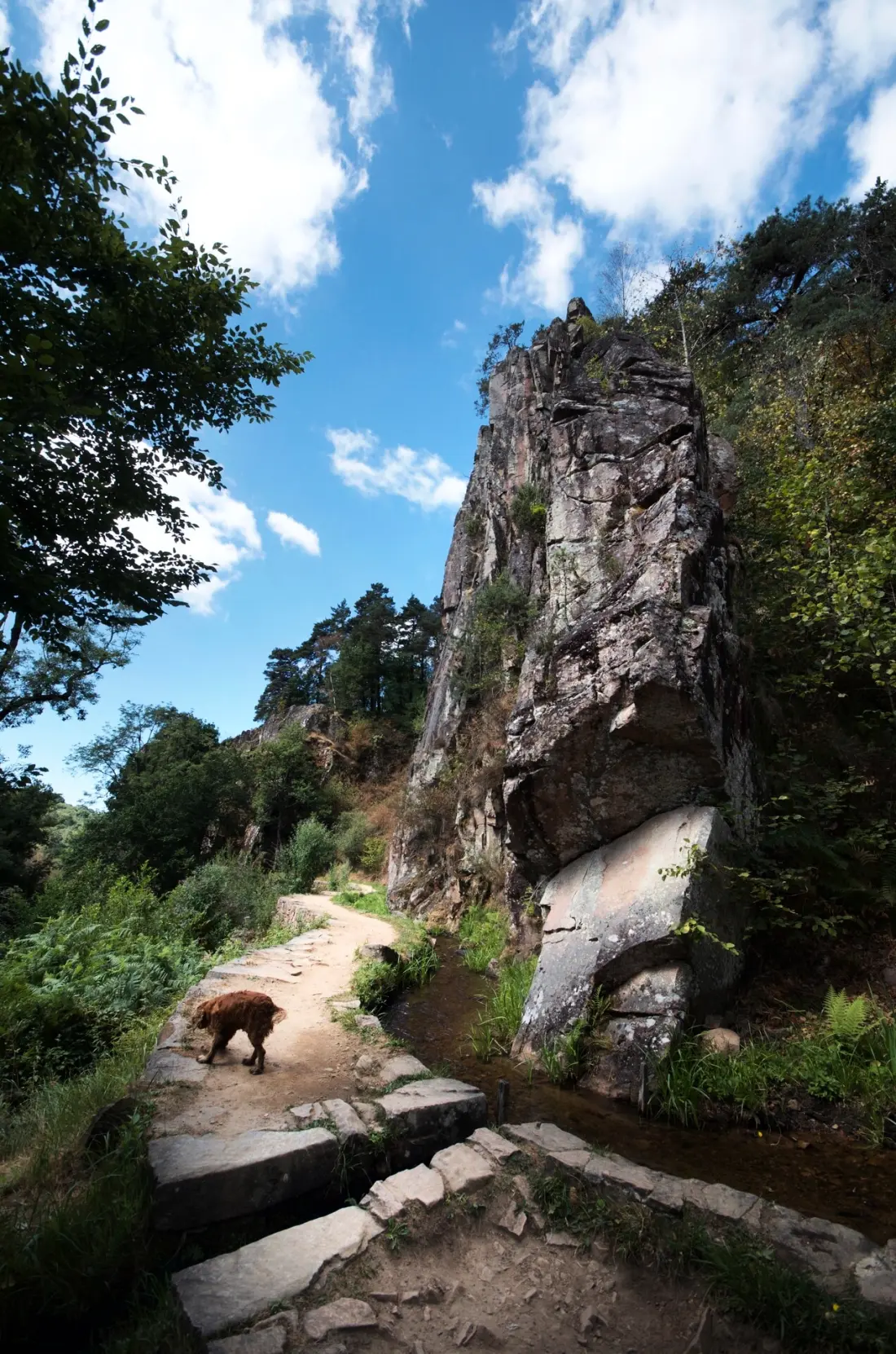 Campsite Les Sapins de Correze /