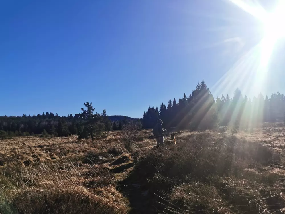 Campingplatz Les Sapins de Correze 3 Sterne★★★