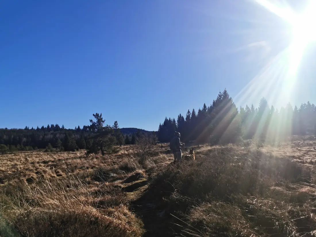 Campsite Les Sapins de Correze /