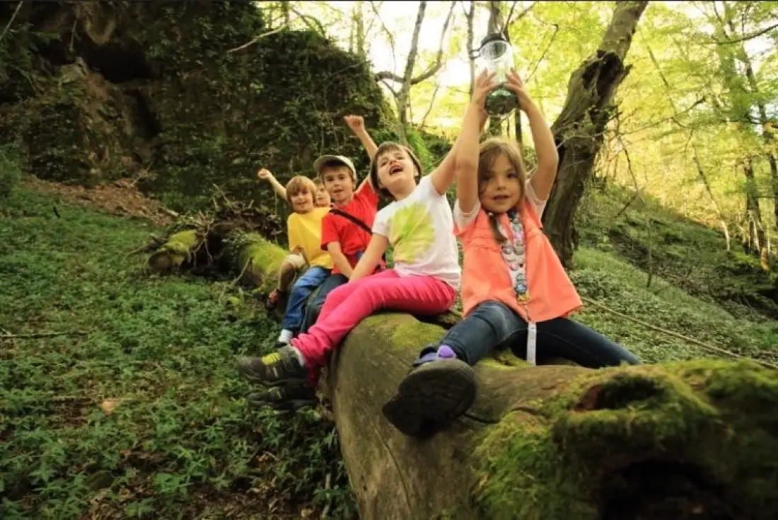Campsite Les Sapins de Correze /