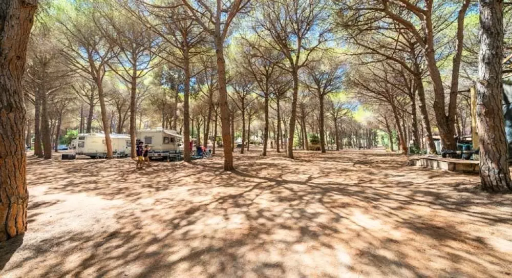 Alannia Neptuno 3 Sterne★★★