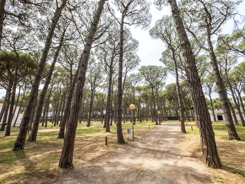 Alannia Neptuno 3 Sterne★★★