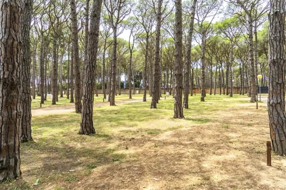 Alannia Neptuno 3 Csillagok★★★