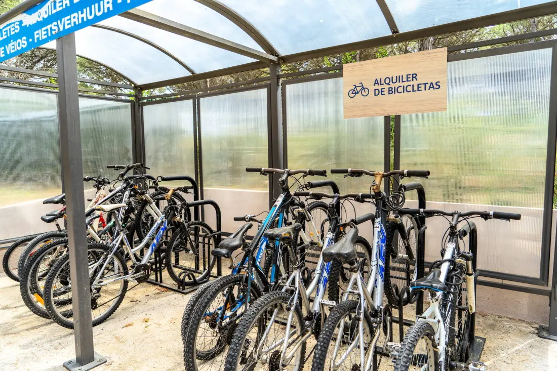 Campsite Alannia Neptuno