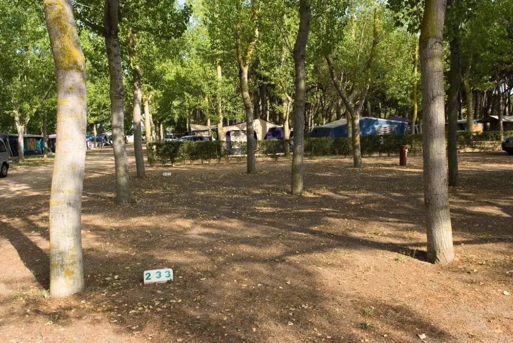 Camping & Bungalows Platja Brava 4 étoiles★★★★
