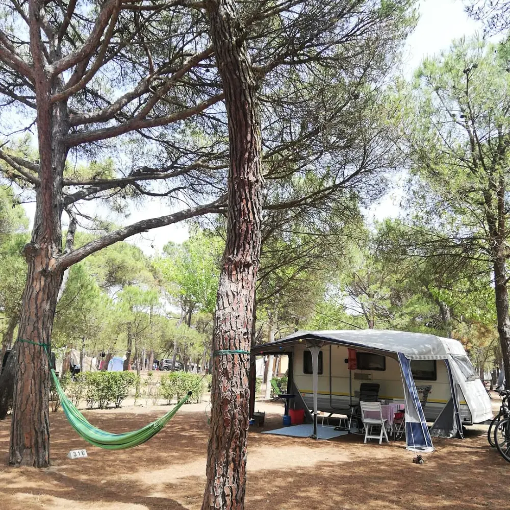 Camping & Bungalows Platja Brava 4 étoiles★★★★
