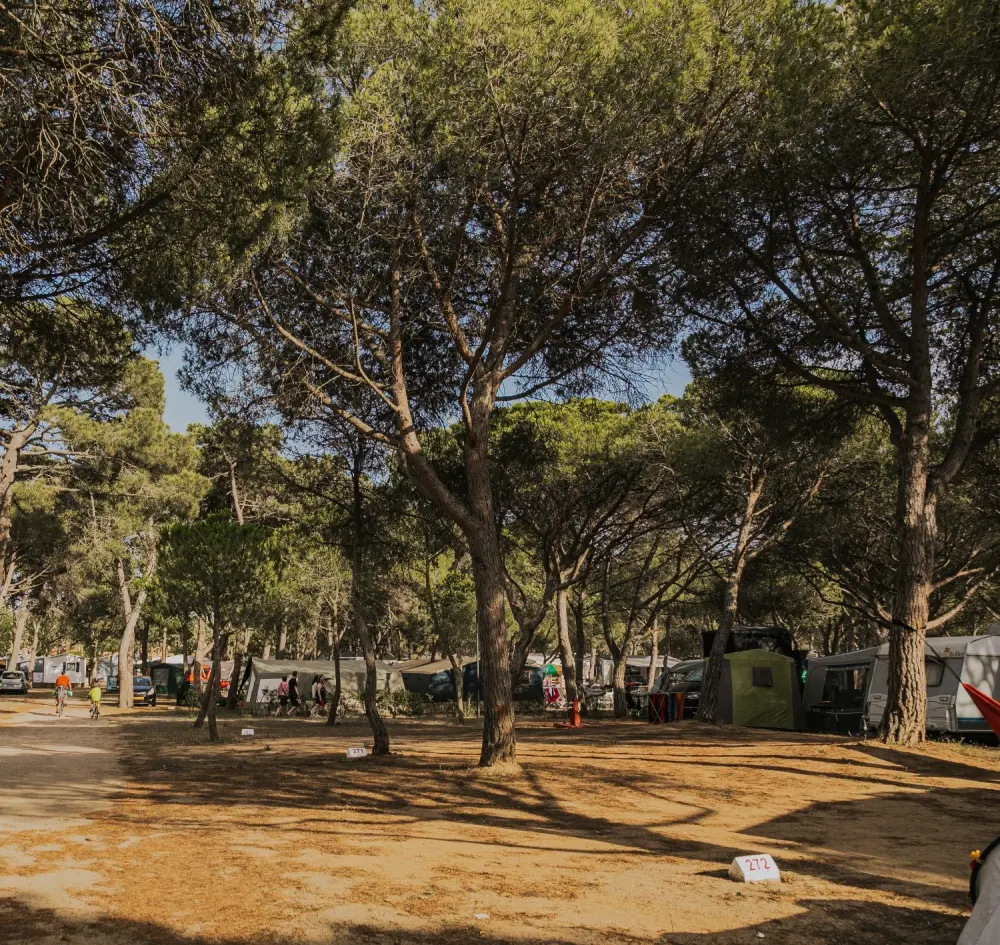 Camping & Bungalows Platja Brava 4 Sterne★★★★