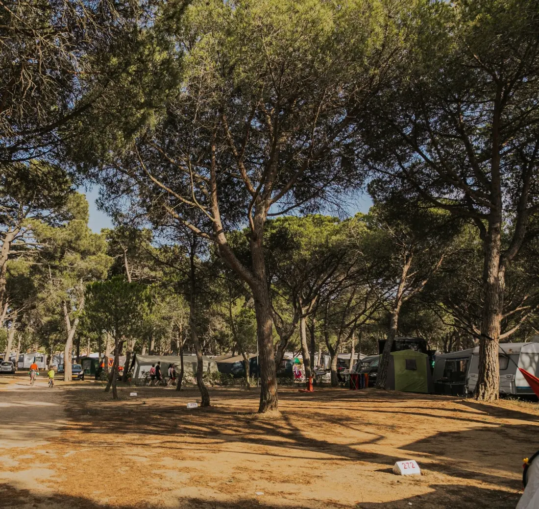 Camping & Bungalows Platja Brava 4 Stjerner★★★★