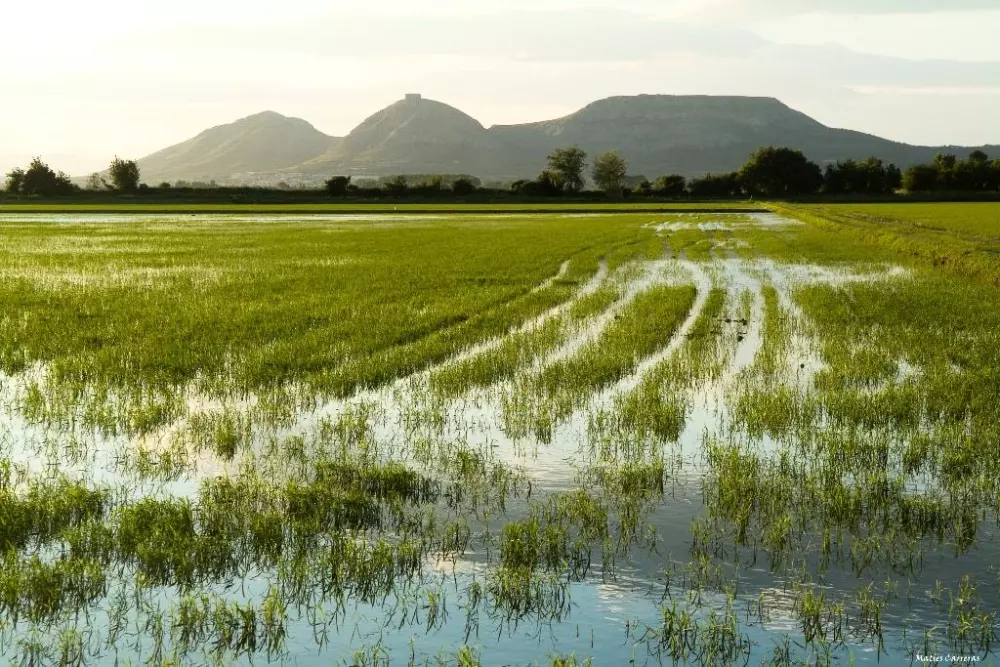 Camping & Bungalows Platja Brava 4 Sterne★★★★