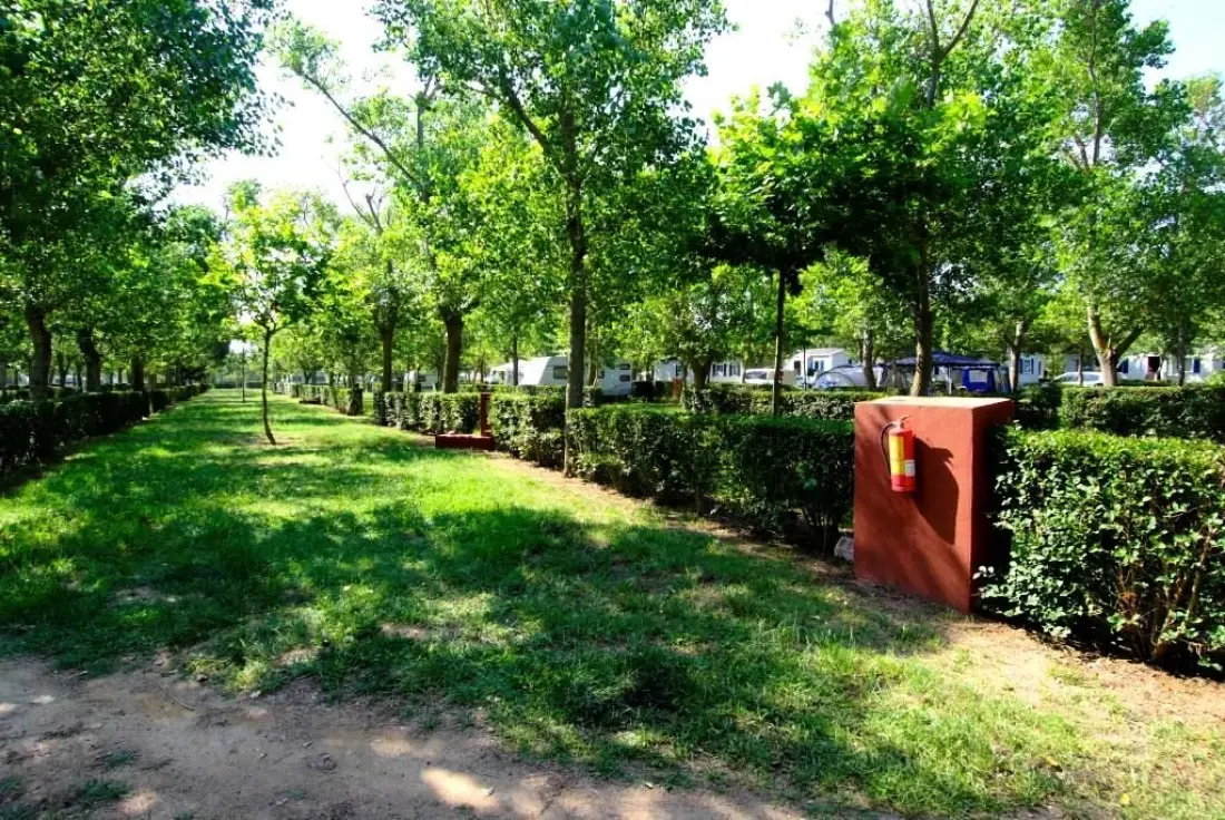 Camping & Bungalows Platja Brava 4 Stjerner★★★★