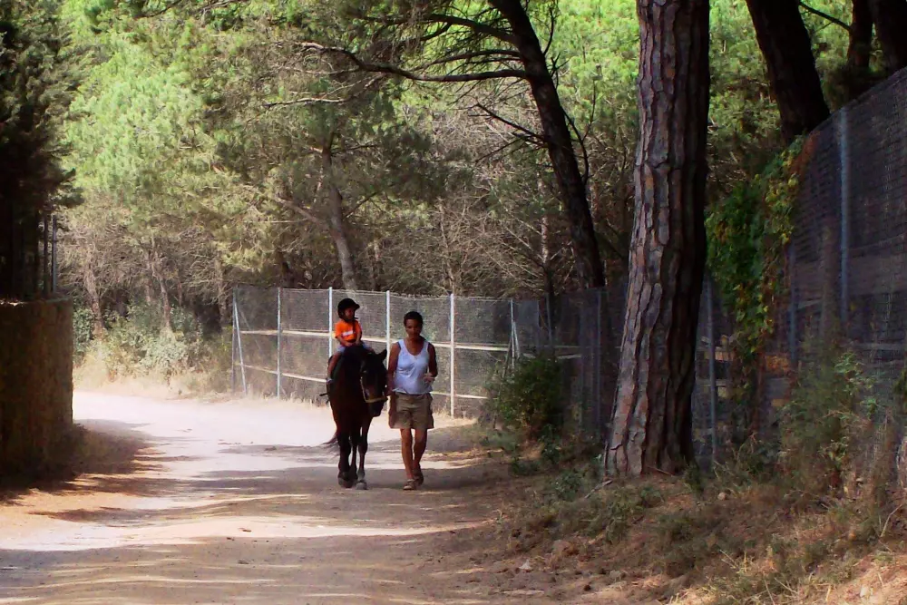 Camping & Bungalows Platja Brava 4 Sterne★★★★