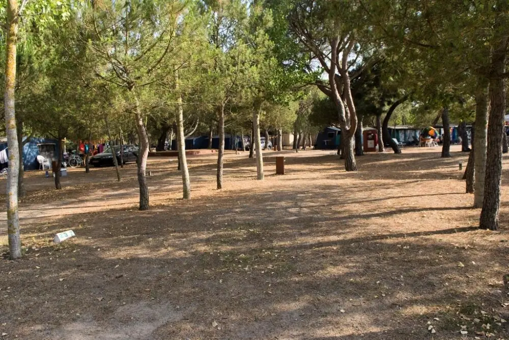 Camping & Bungalows Platja Brava 4 étoiles★★★★