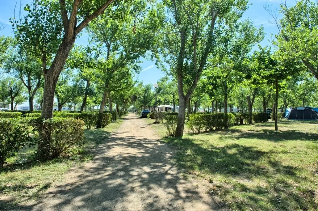 Camping & Bungalows Platja Brava 4 Stjerner★★★★