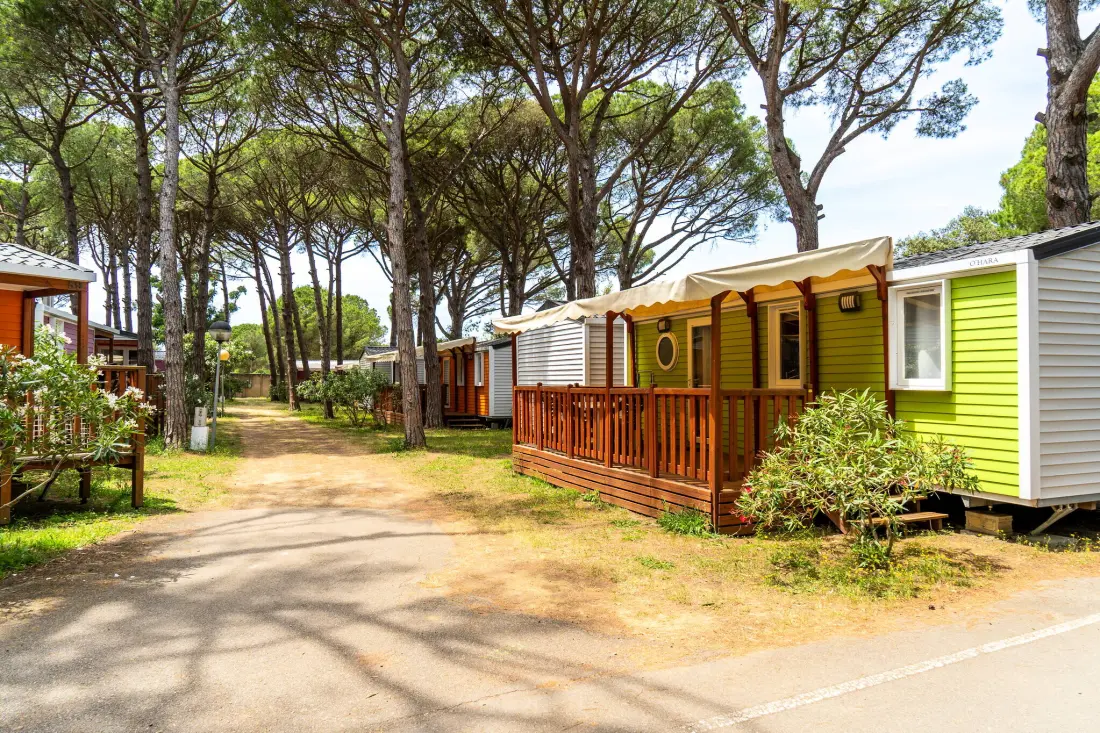 Campsite Alannia Neptuno