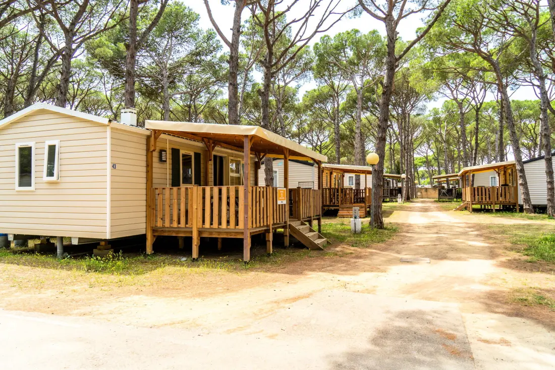 Campsite Alannia Neptuno