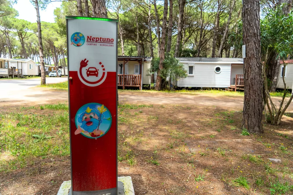 Camping Alannia Neptuno