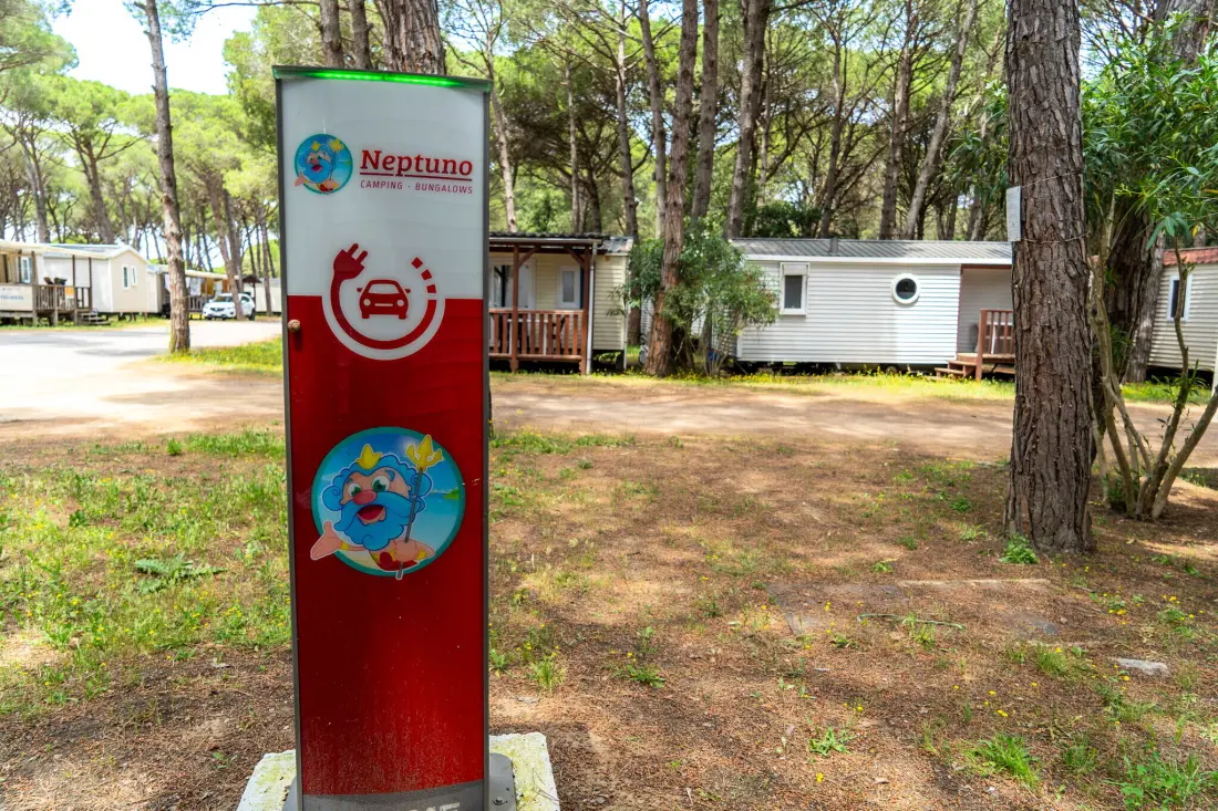 Campsite Alannia Neptuno