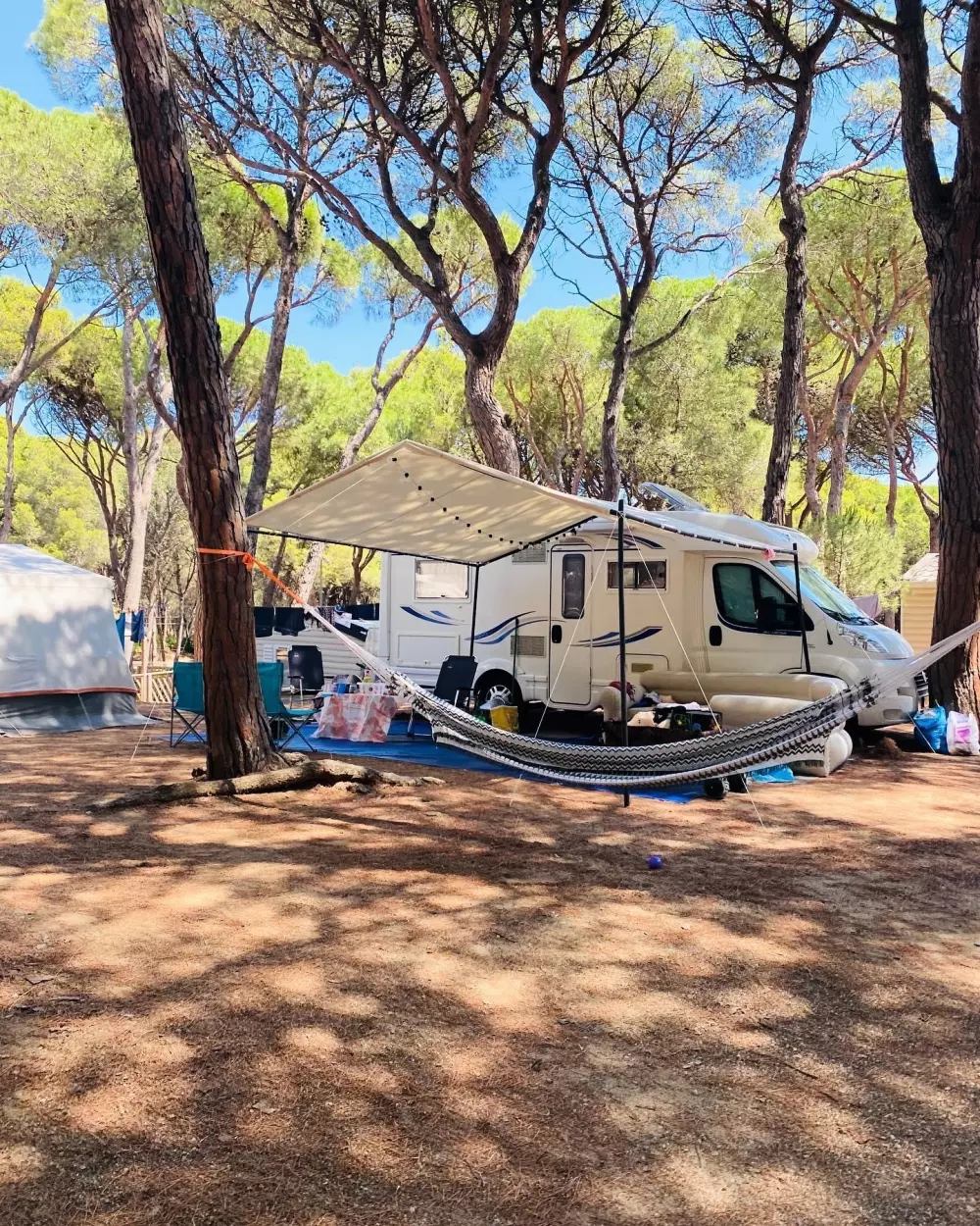 Interpals Eco Resort 4 Stars★★★★