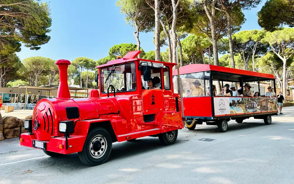 Interpals Eco Resort 4 Stars★★★★