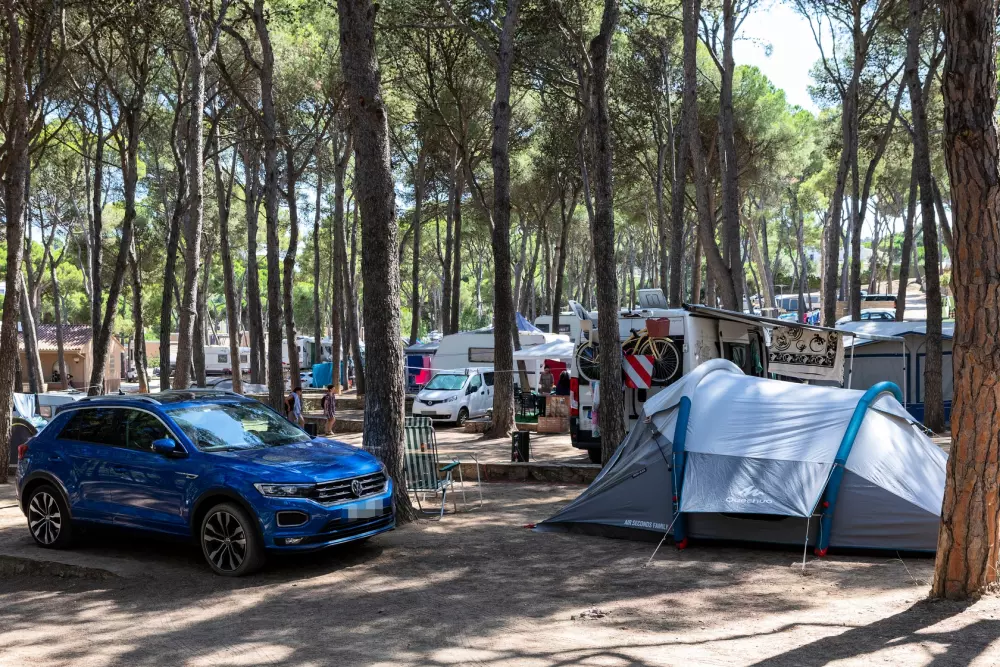 Interpals Eco Resort 4 Stars★★★★