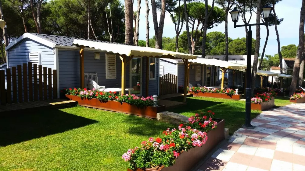 Interpals Eco Resort 4 Stars★★★★