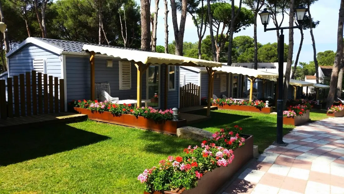 Interpals Eco Resort 4 Stars★★★★