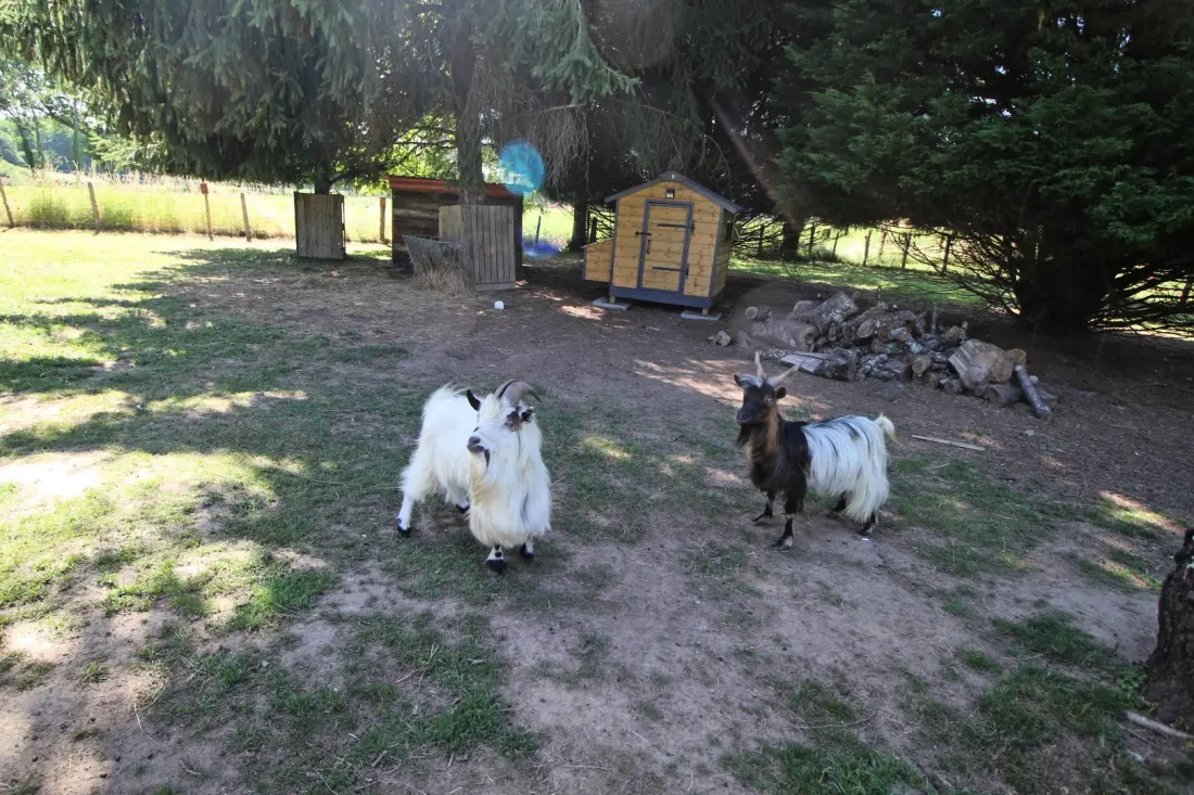 Gîte de France Le mas chambart 3 oren