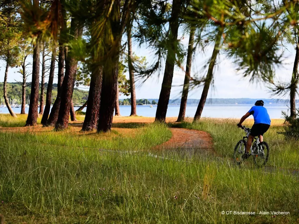 Camping Au Lac de Biscarrosse