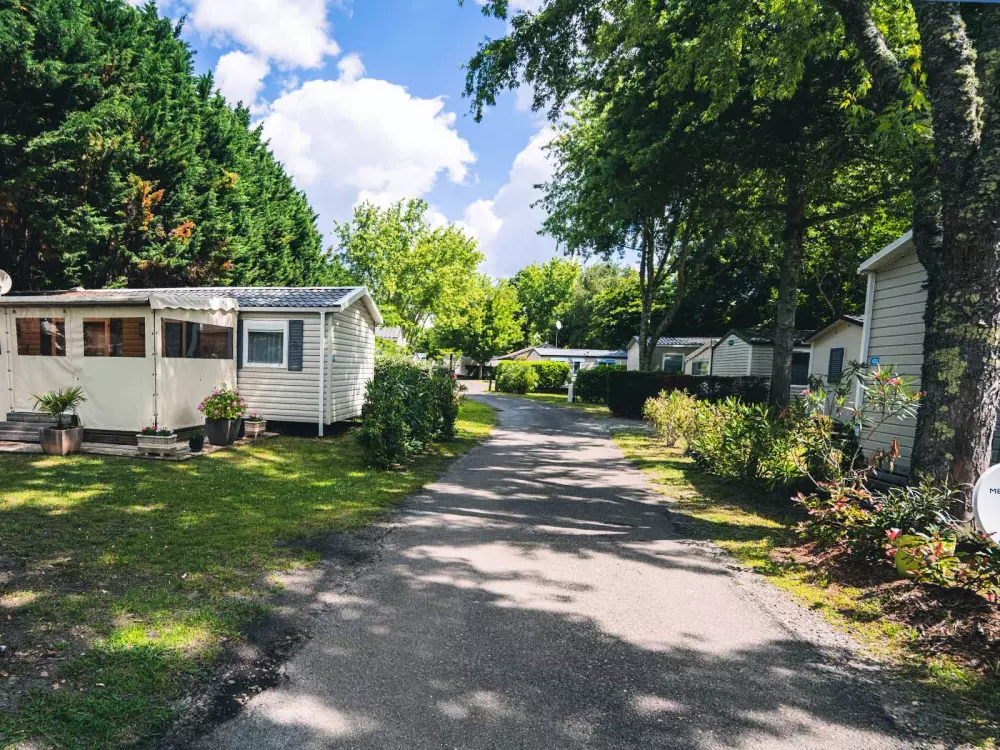 Siblu - El Pipiou 4 Estrellas★★★★