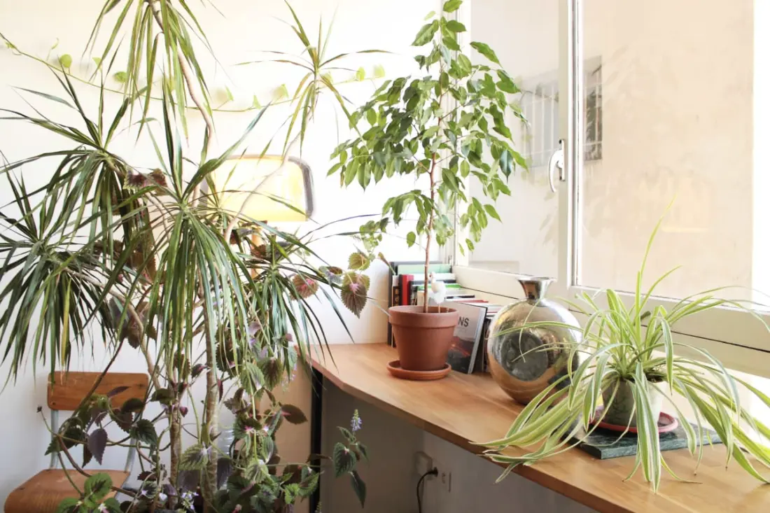 Appartement met Onvergetelijk Uitzicht in Parijs