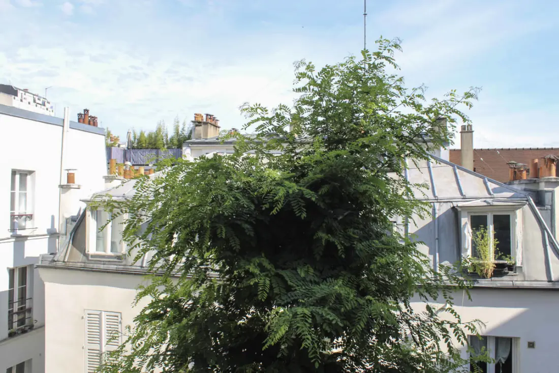 Charmante studio met balkon - Heilig Hart